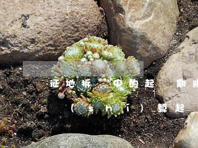 征地拆遷中的起訴期限應(yīng)從何時(shí)算起？！這個(gè)維權(quán)重點(diǎn)你可知？